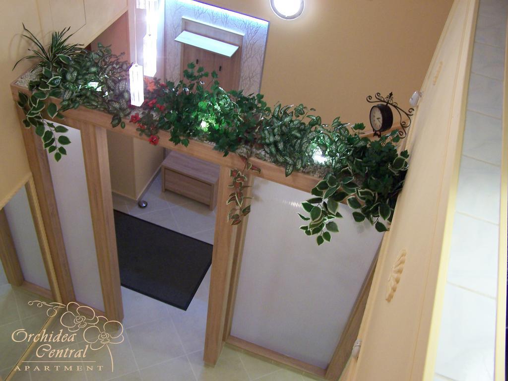 Orchidea Central Apartment ブダペスト エクステリア 写真